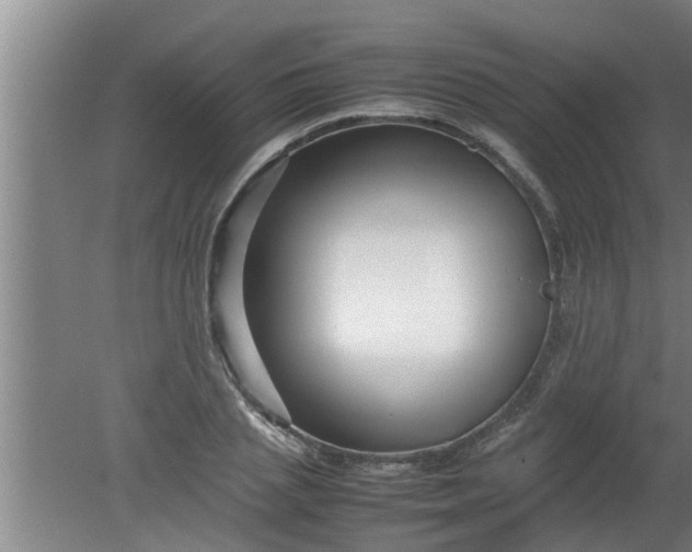 X0000080120837200612221829