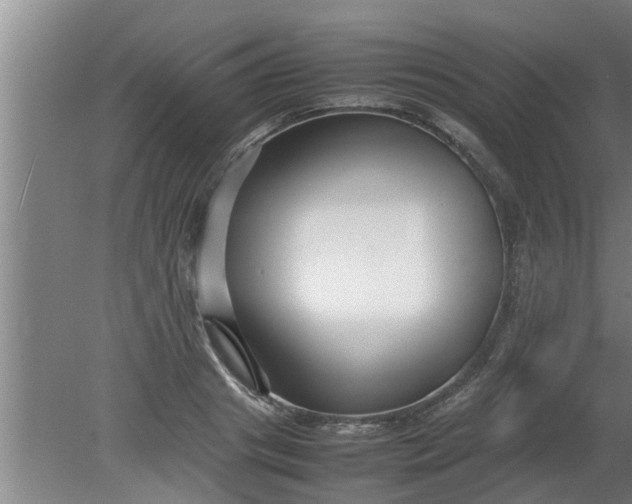 X0000080120841200612221829