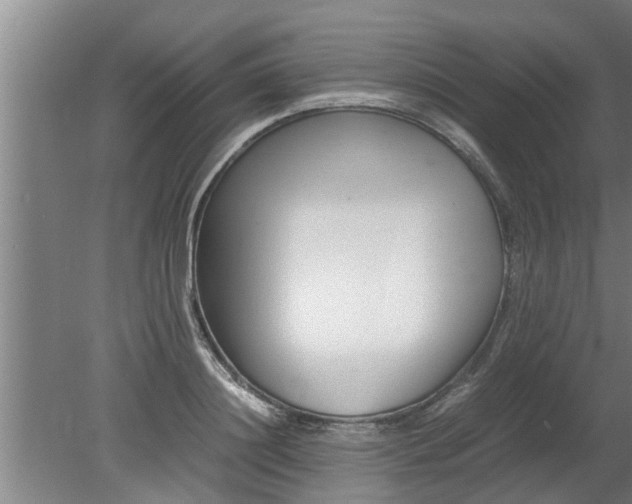 X0000080120844200612221829