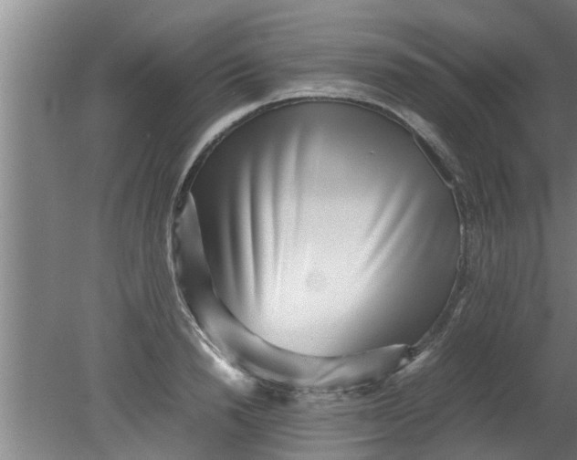X0000080120846200612221829