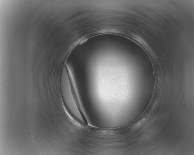 X0000080120849200612221829