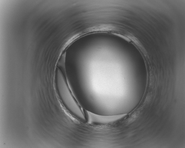 X0000080120850200612221829