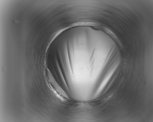 X0000080120852200612221829