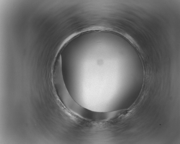 X0000080120854200612221829