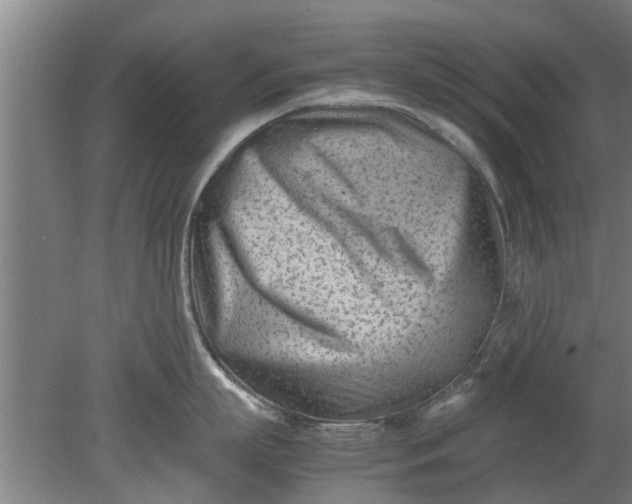 X0000080120863200612221829