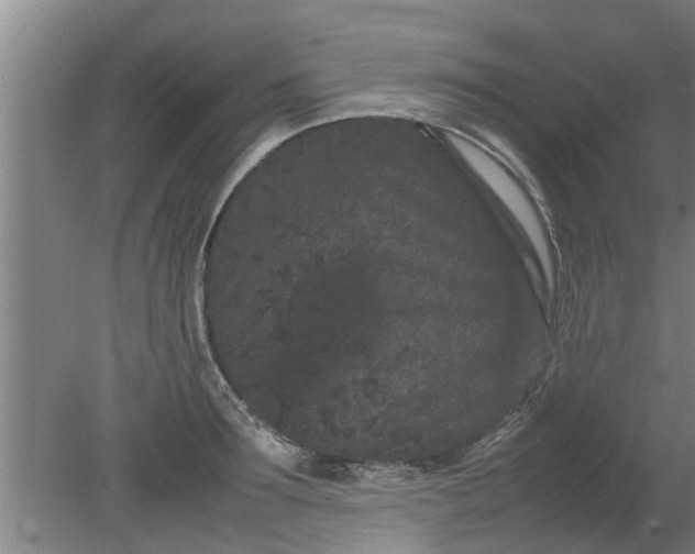 X0000080120899200612221828