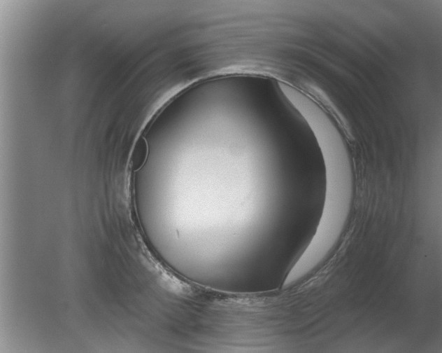 X0000080120900200612221828