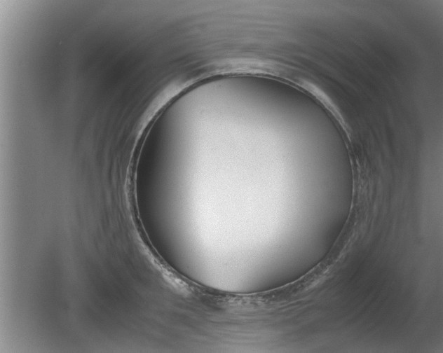 X0000080120901200612221828