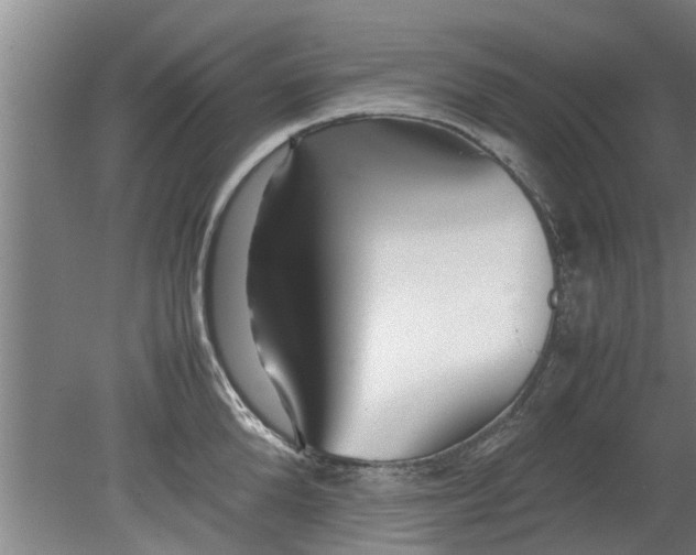 X0000080120904200612221828