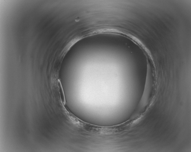 X0000080120905200612221828