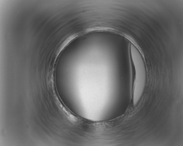 X0000080120906200612221828