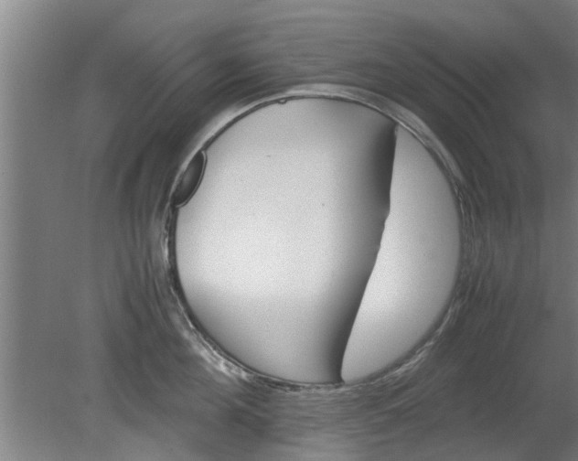 X0000080120908200612221828
