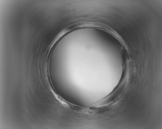 X0000080120909200612221828