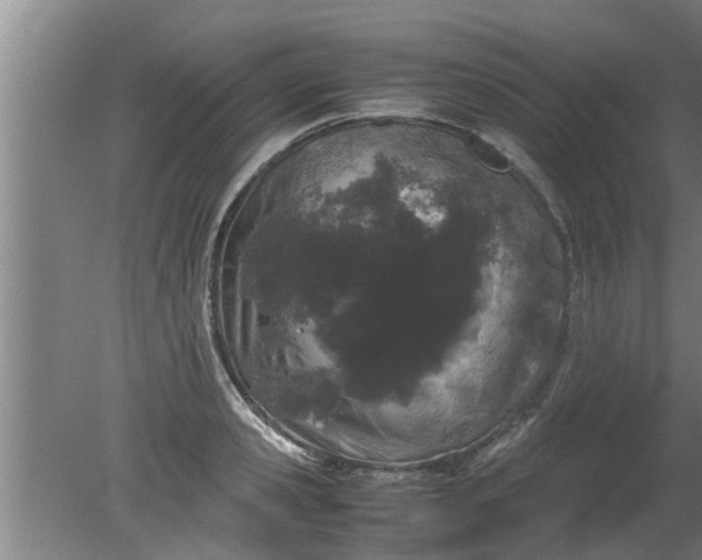 X0000080120941200612221828