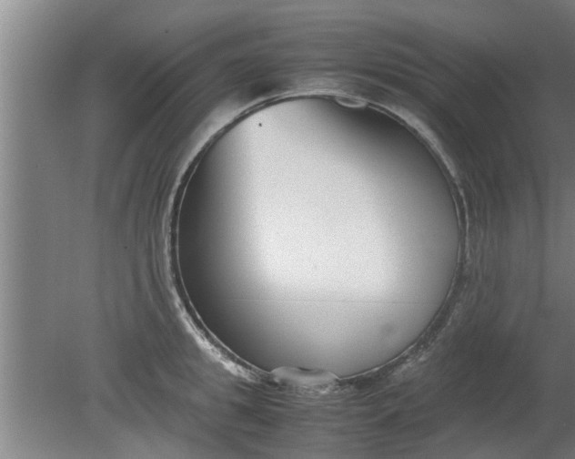 X0000080120949200612221828