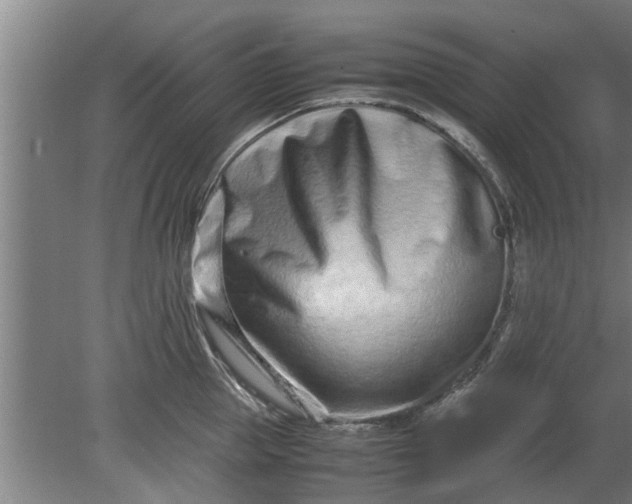 X0000080120953200612221828
