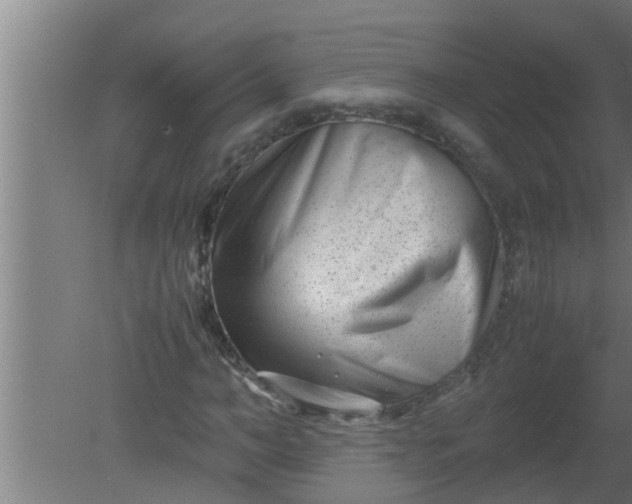 X0000080120966200612221827