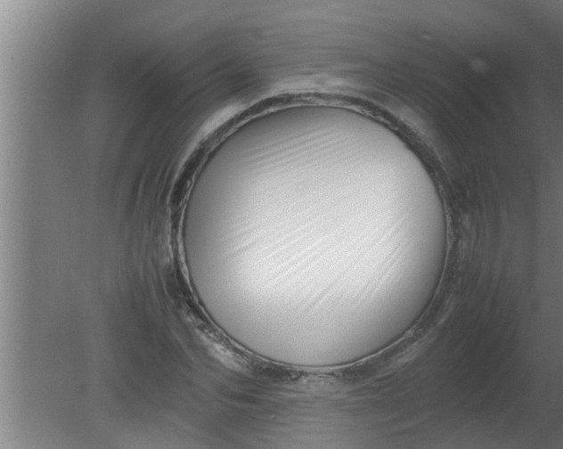 X0000080120974200612221827