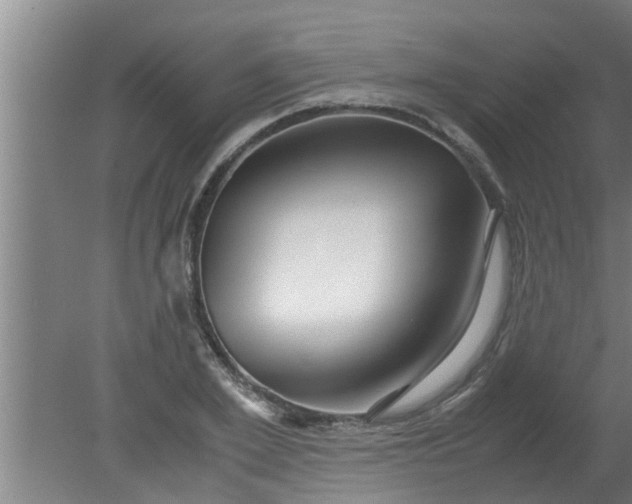 X0000080120981200612221827