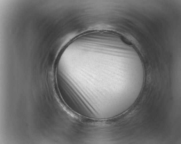 X0000080120990200612221827