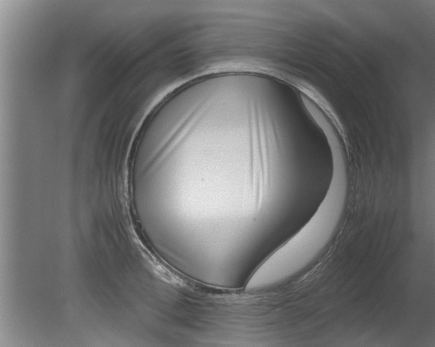 X0000080120996200612221826