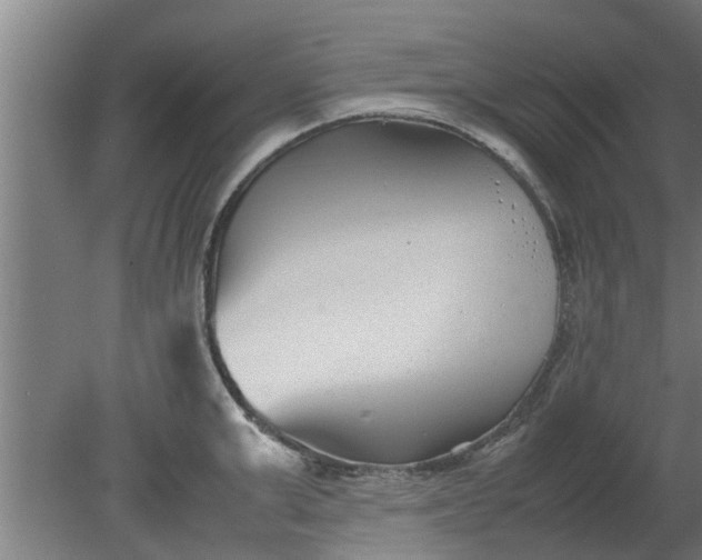 X0000080120999200612221826
