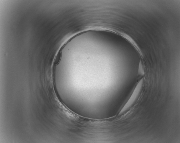 X0000080121004200612221826