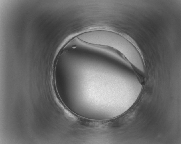 X0000080121005200612221826