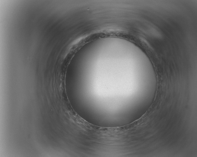 X0000080121016200612221826