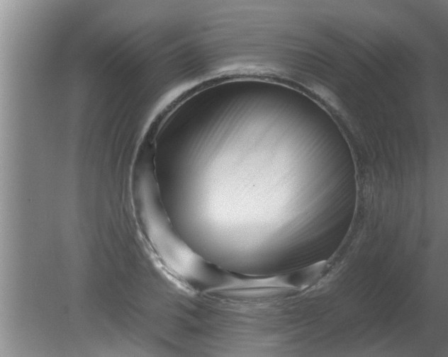 X0000080121030200612221826