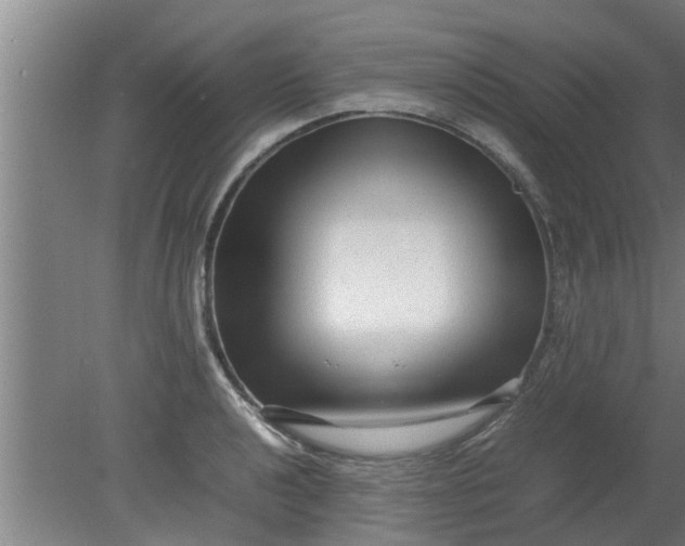 X0000080121040200612221826
