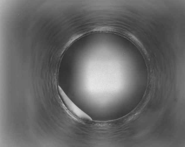 X0000080121041200612221826