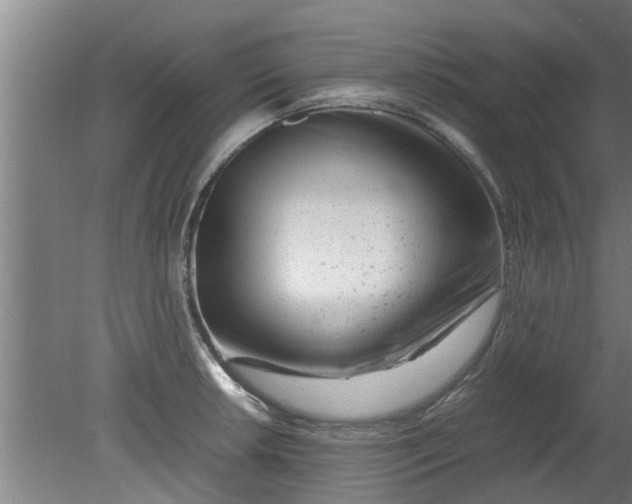 X0000080121042200612221826