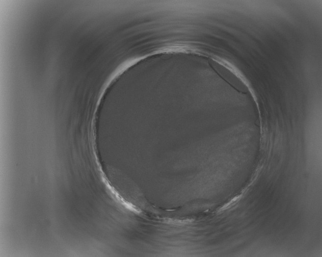 X0000080121045200612221826