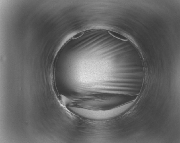 X0000080121048200612221826