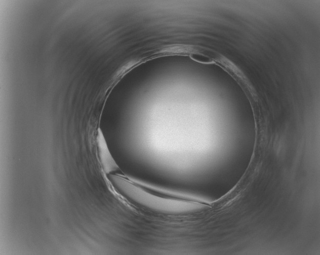 X0000080121049200612221826