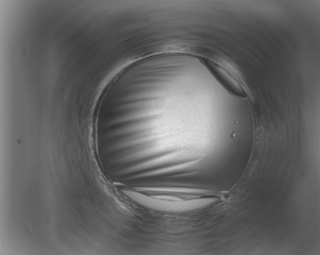 X0000080121051200612221826