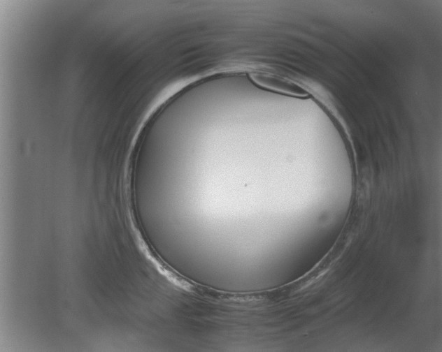 X0000080121053200612221826