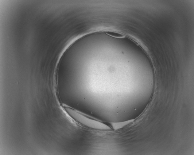 X0000080121056200612221826