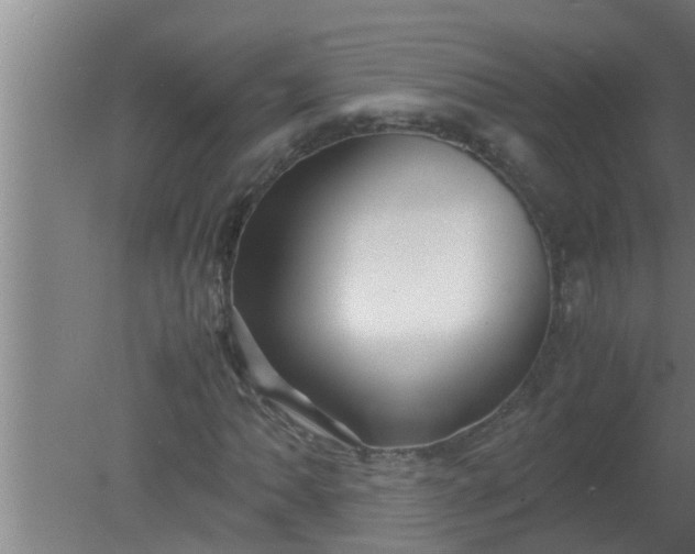 X0000080121062200612221825