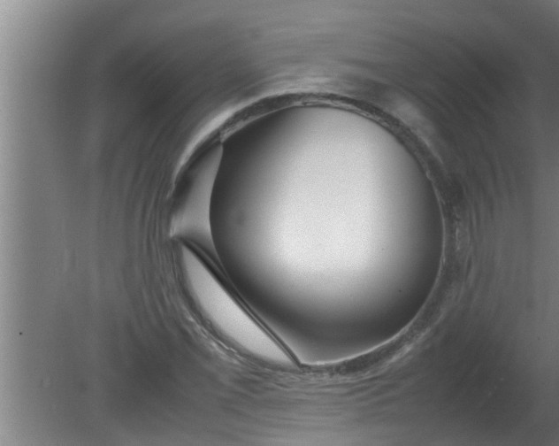 X0000080121069200612221825