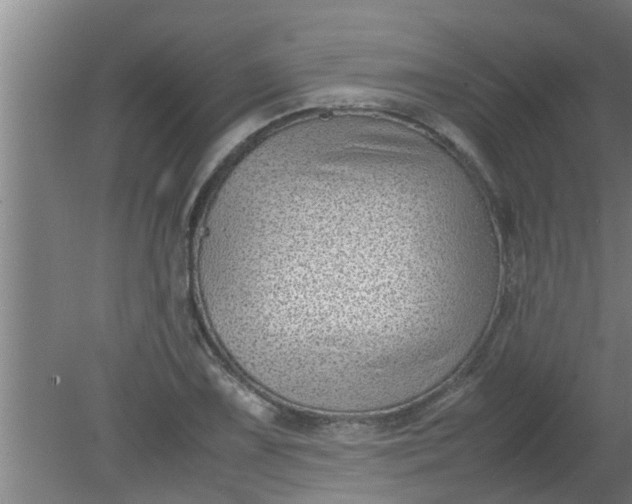 X0000080121075200612221825