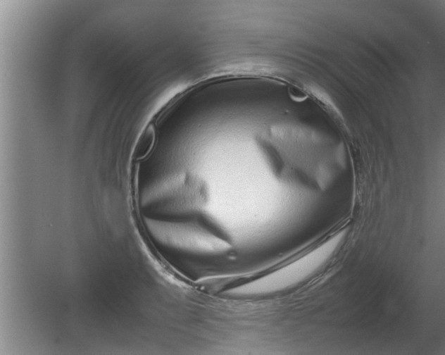 X0000080121087200612221825
