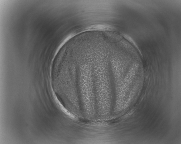X0000080121091200612221825
