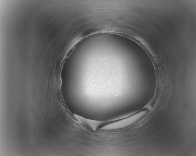 X0000080121097200612221825
