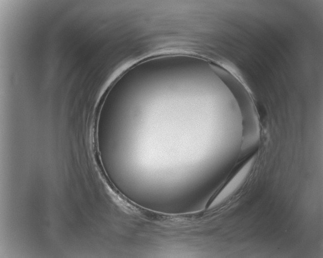 X0000080121101200612221825
