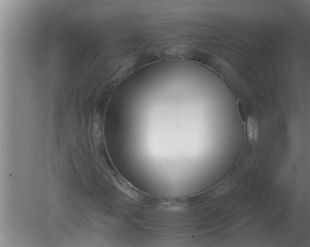 X0000080121107200612221824