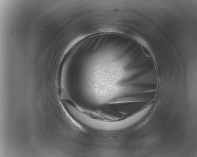 X0000080121141200612221824