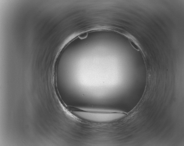 X0000080121143200612221824