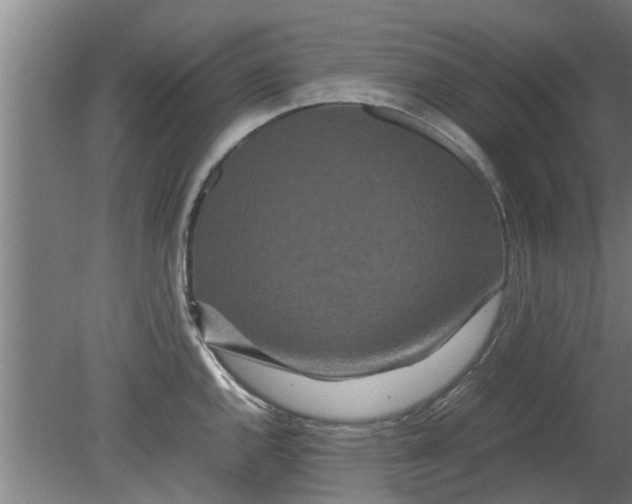 X0000080121144200612221824